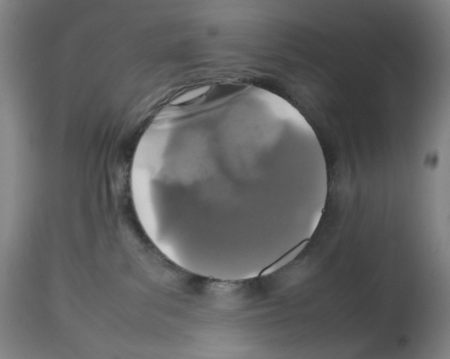 X0000112470139200909281055