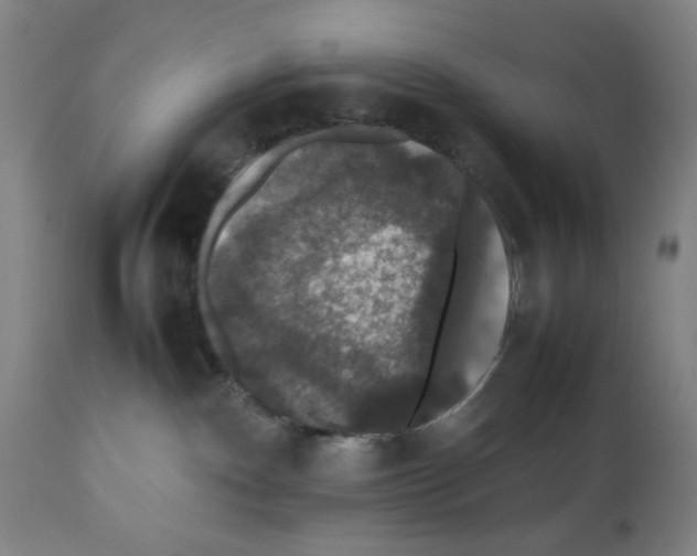 X0000112470140200909281055