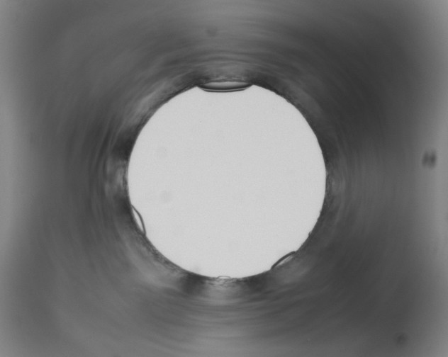 X0000112470141200909281055