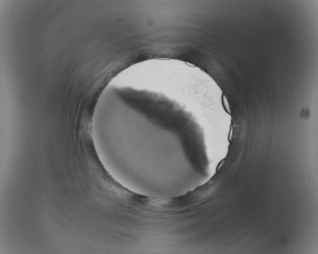 X0000112470143200909281055