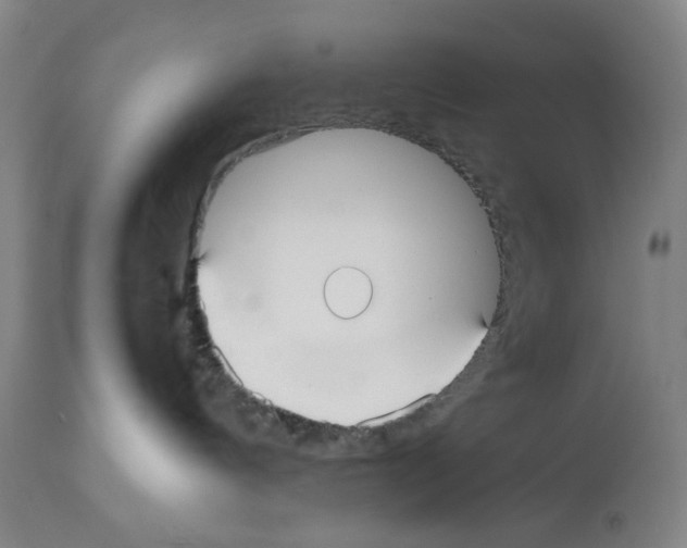 X0000112470144200909281055