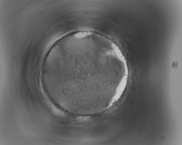 X0000112470145200909281054