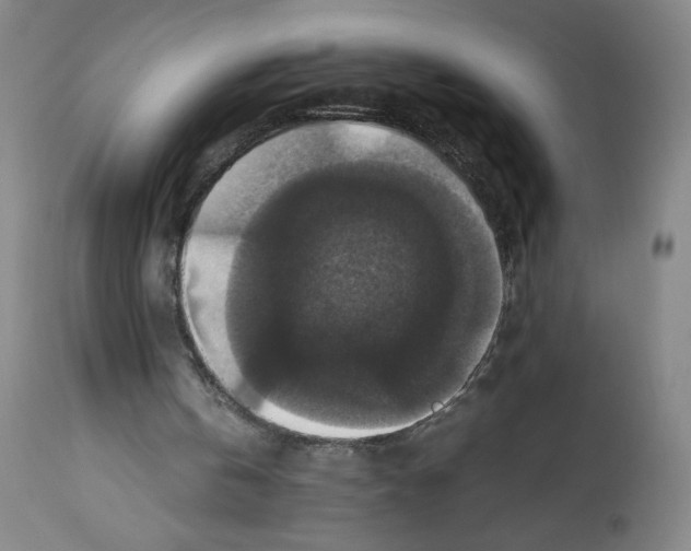 X0000112470146200909281054