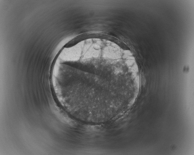 X0000112470147200909281054