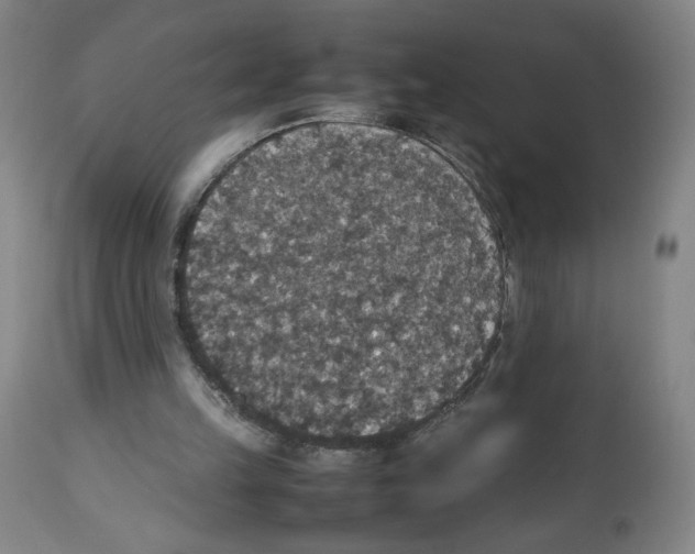 X0000112470149200909281054