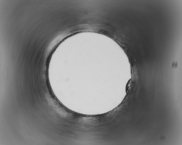 X0000112470150200909281054