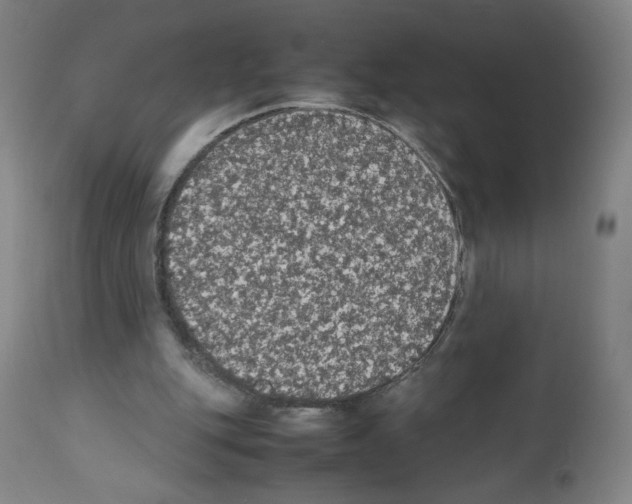 X0000112470151200909281054
