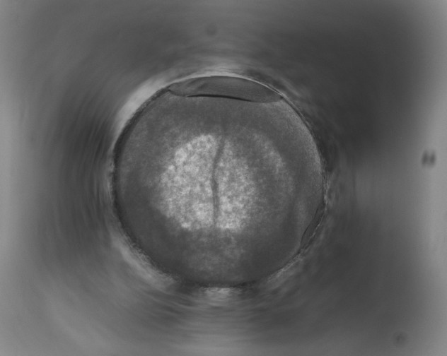 X0000112470152200909281054
