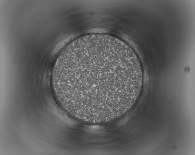 X0000112470153200909281054