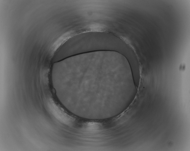 X0000112470154200909281054