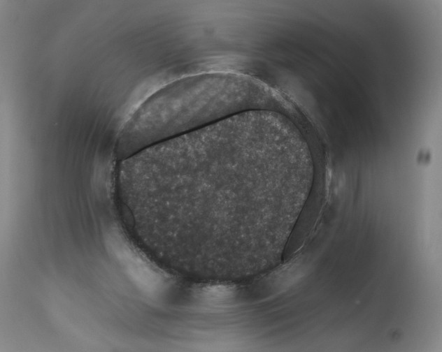 X0000112470156200909281054