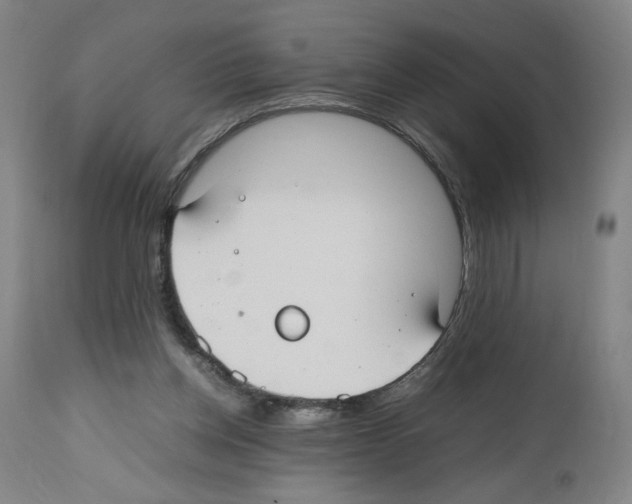 X0000112470158200909281054