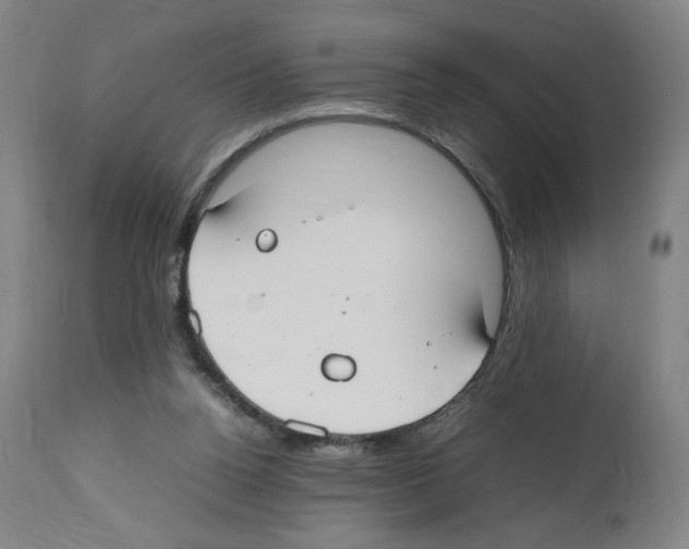 X0000112470160200909281054