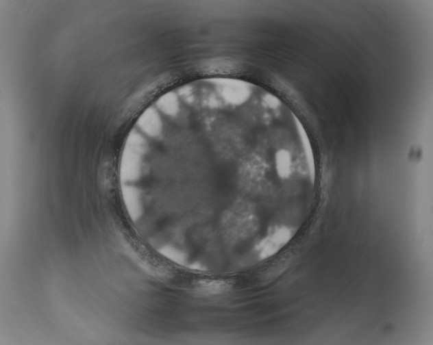 X0000112470161200909281054