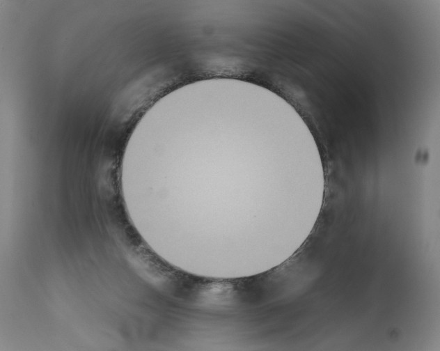 X0000112470162200909281054
