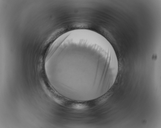 X0000112470163200909281054