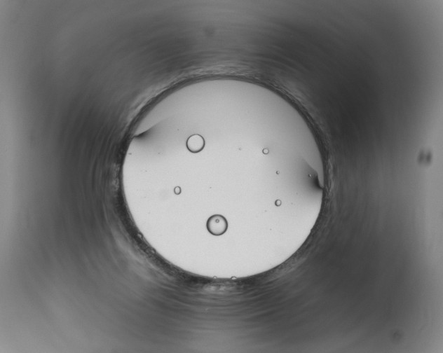 X0000112470164200909281054