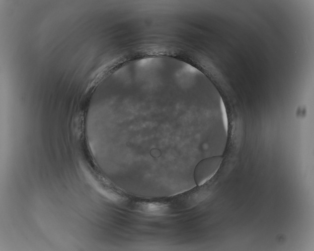 X0000112470165200909281054
