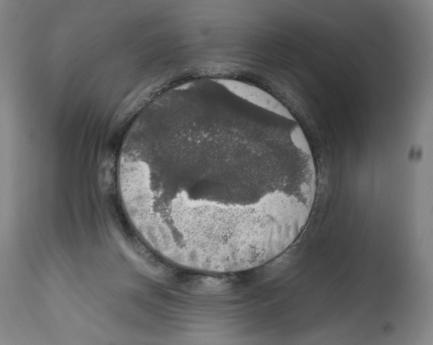 X0000112470166200909281054