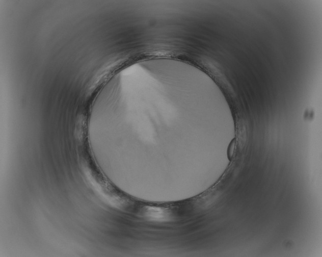 X0000112470167200909281054