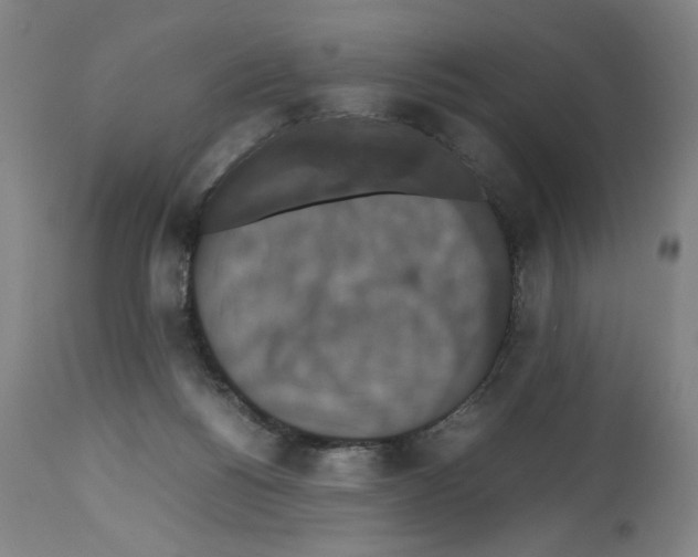 X0000112470168200909281054