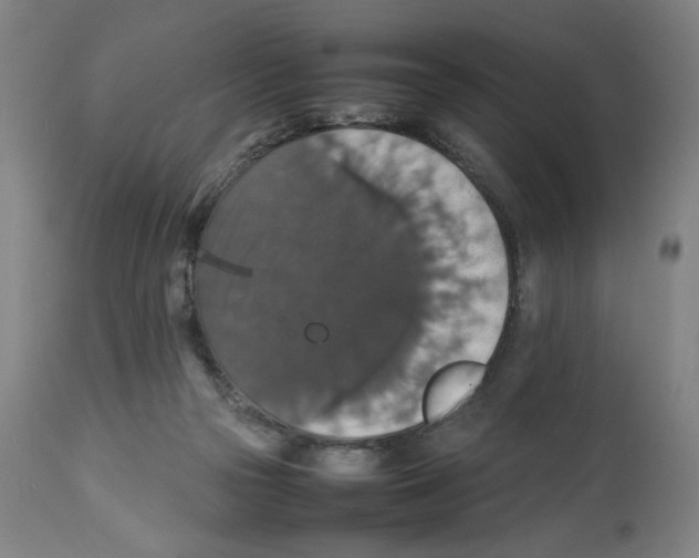 X0000112470169200909281054