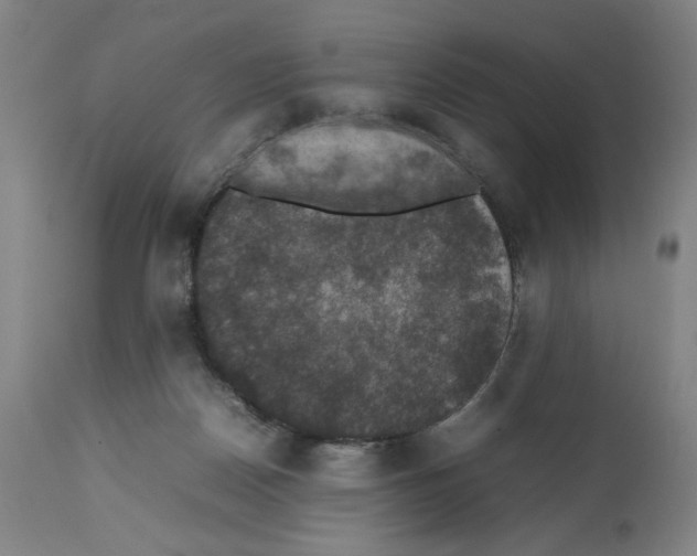 X0000112470170200909281054