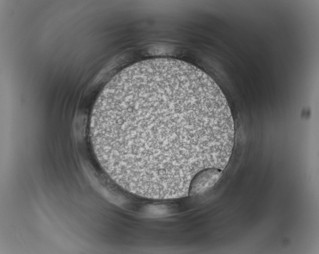 X0000112470171200909281054