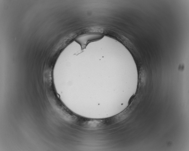 X0000112470172200909281054