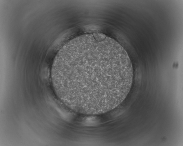 X0000112470173200909281054