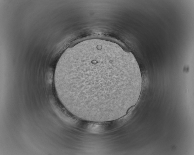 X0000112470174200909281054