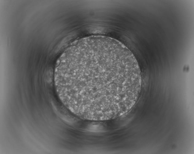 X0000112470175200909281054