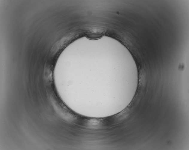 X0000112470176200909281054