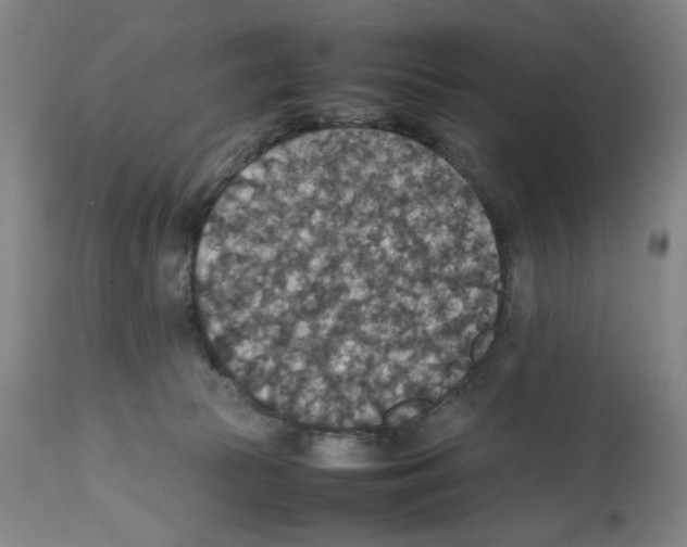 X0000112470177200909281054