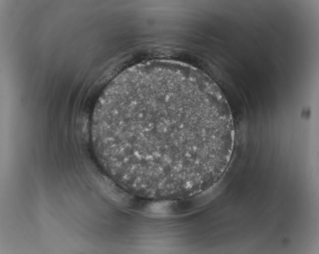 X0000112470178200909281054