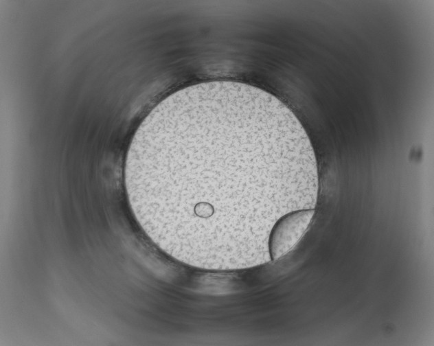 X0000112470179200909281054
