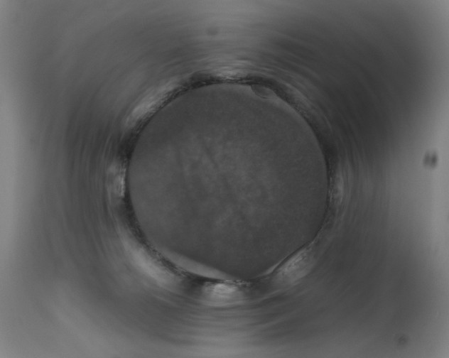 X0000112470180200909281054