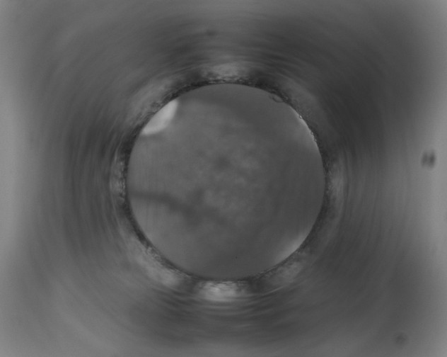 X0000112470181200909281054