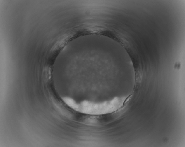 X0000112470182200909281054