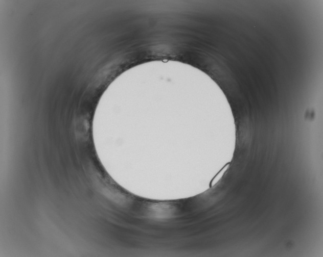 X0000112470183200909281055