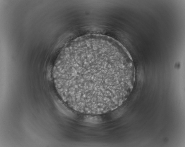 X0000112470185200909281055