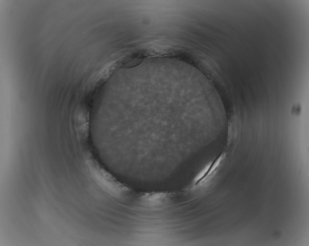 X0000112470186200909281055