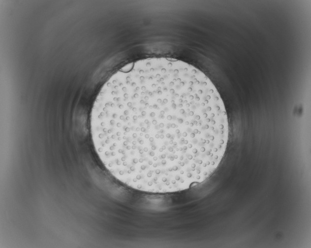 X0000112470187200909281055