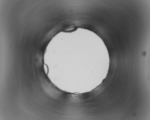 X0000112470188200909281055
