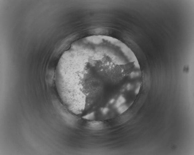 X0000112470189200909281055