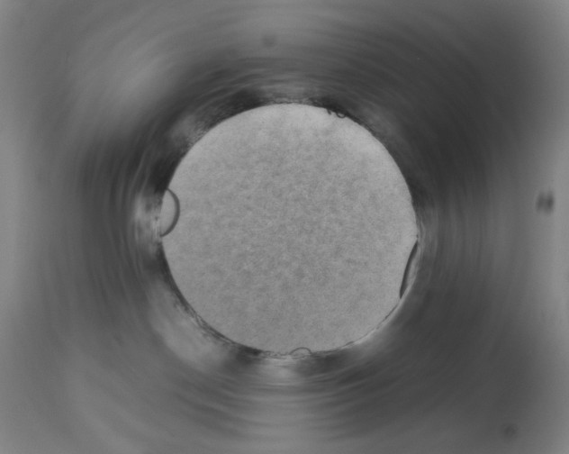 X0000112470190200909281055