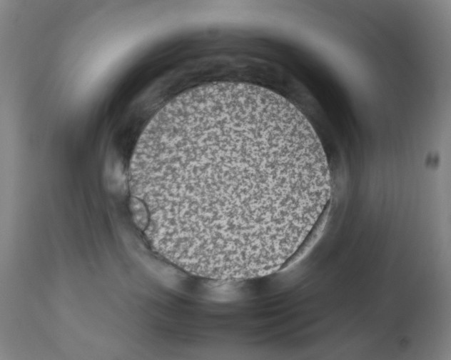 X0000112470191200909281055