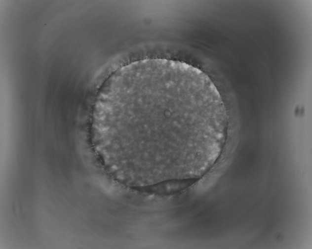 X0000112470192200909281055