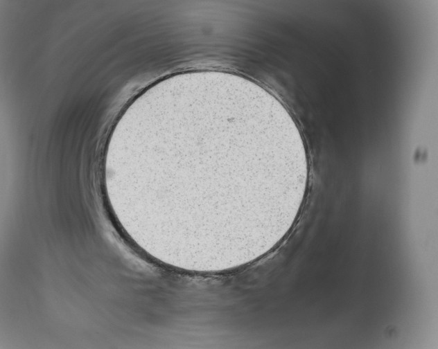 X0000112470193200909281054