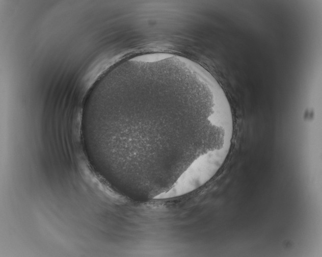 X0000112470194200909281054